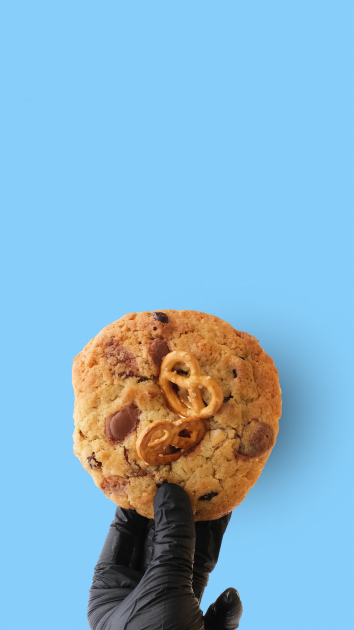 Fokies Nutty Berry Bites