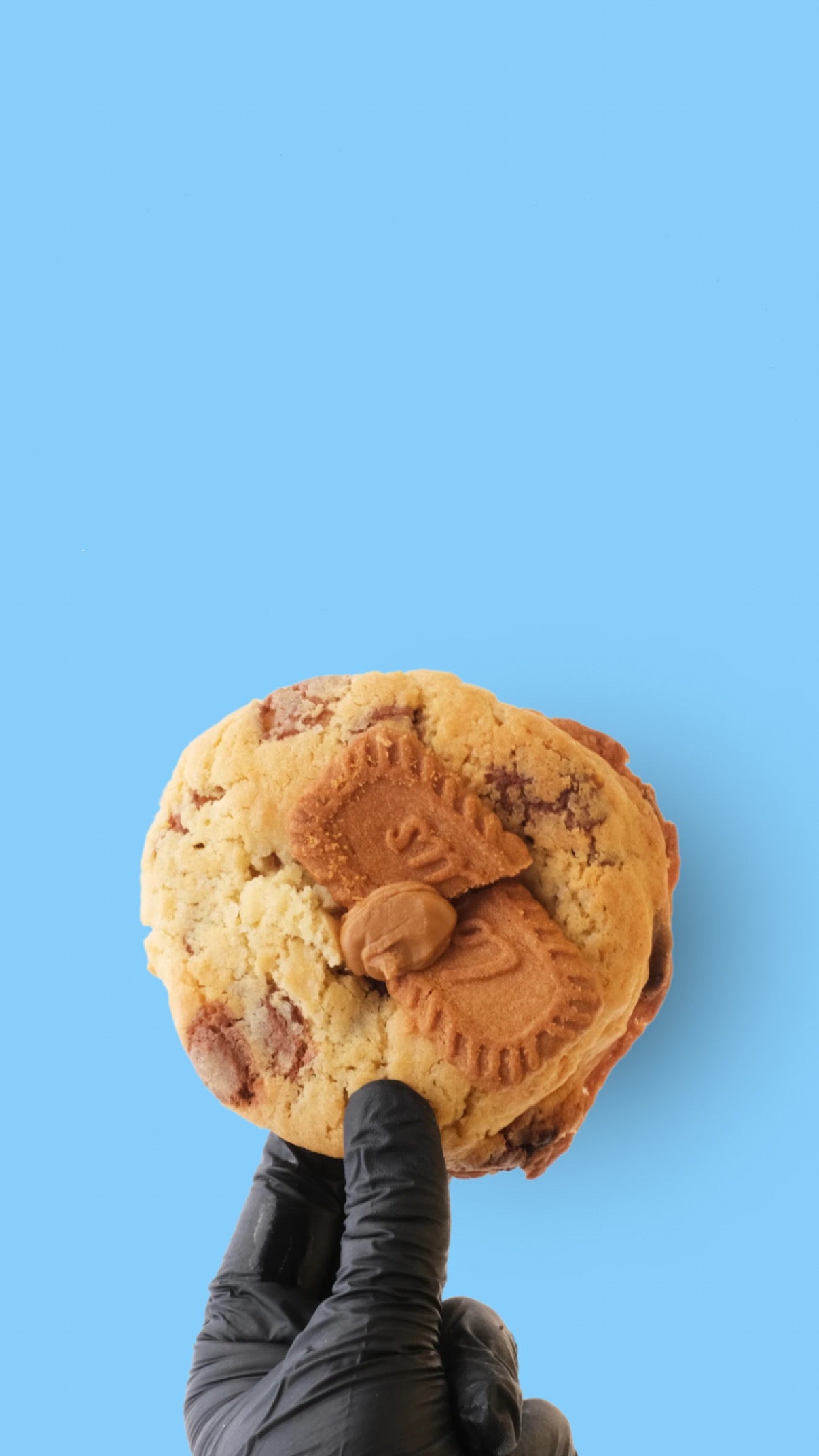 Fokies Lotus Crumble